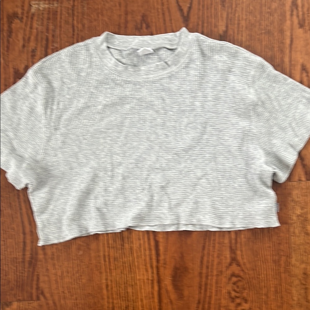 Aritzia Gray Ribbed Crop Top